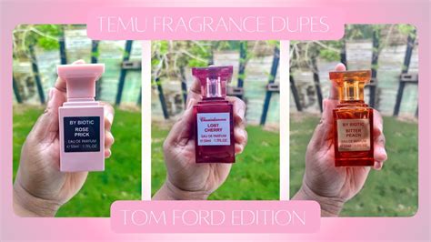 temu perfume dupes list|designer dupes on temu.